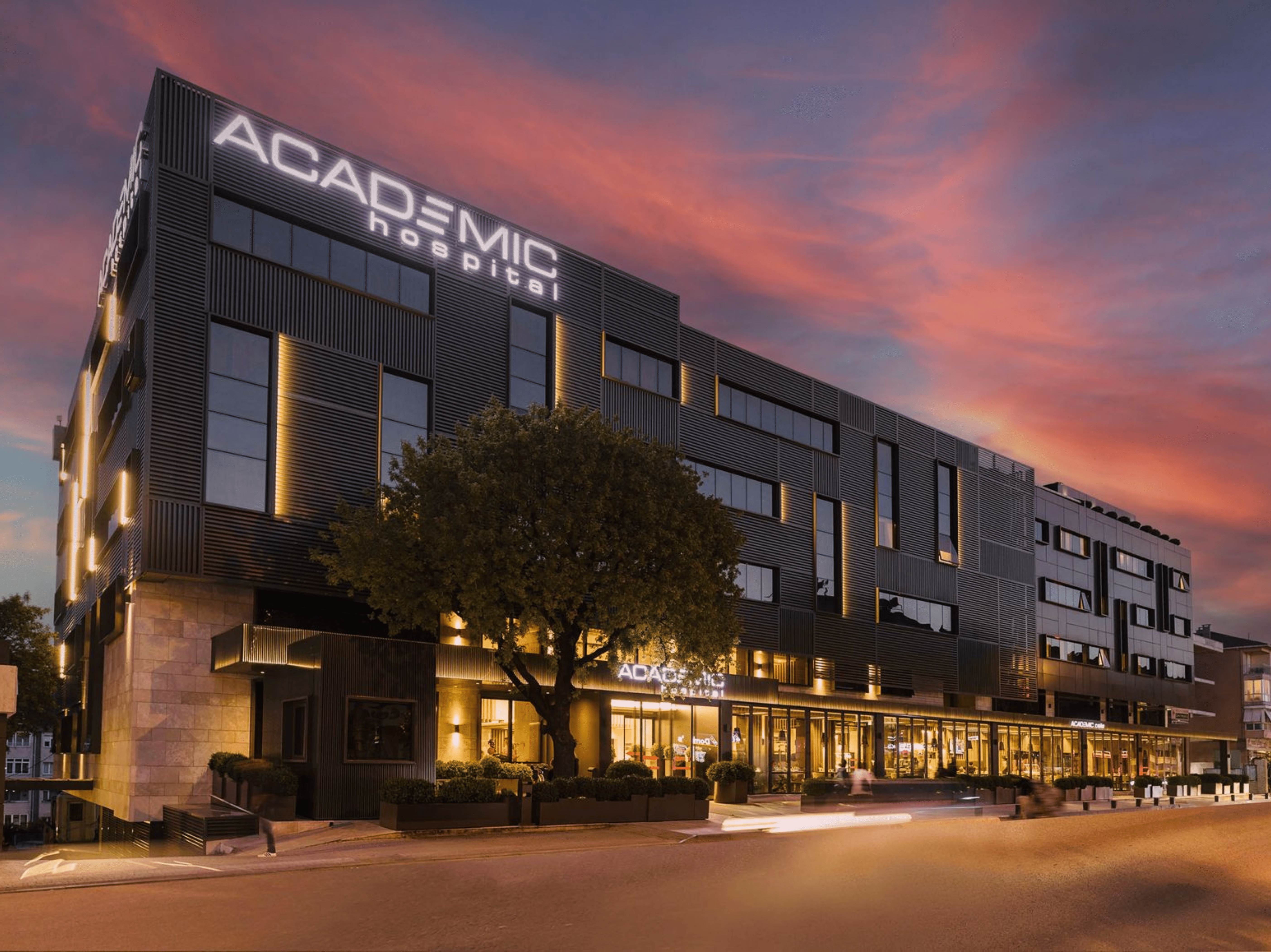Academic Hospital