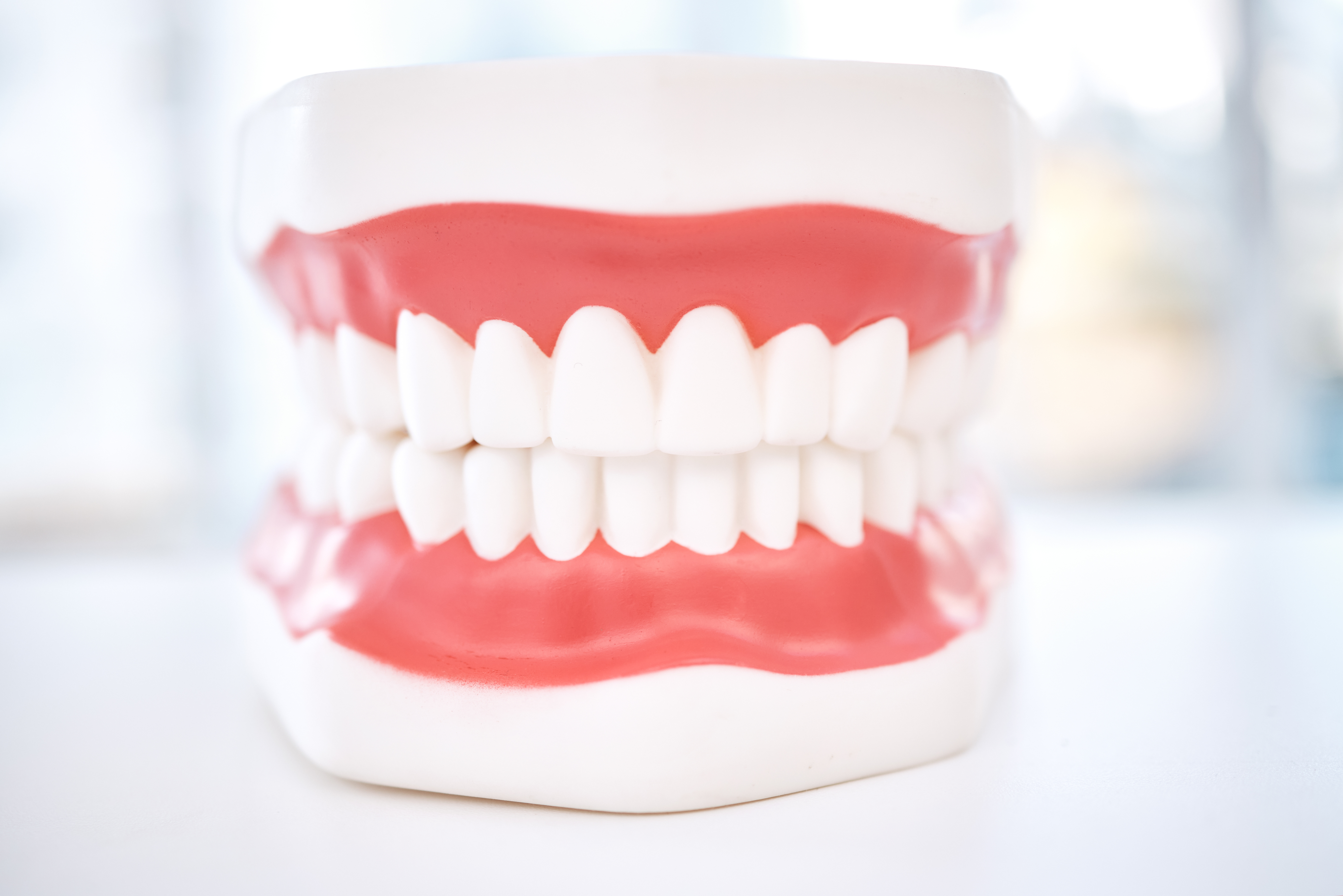 dental-teeth-model-and-orthodontics-with-healthca-2023-11-27-04-54-47-utc_(1)