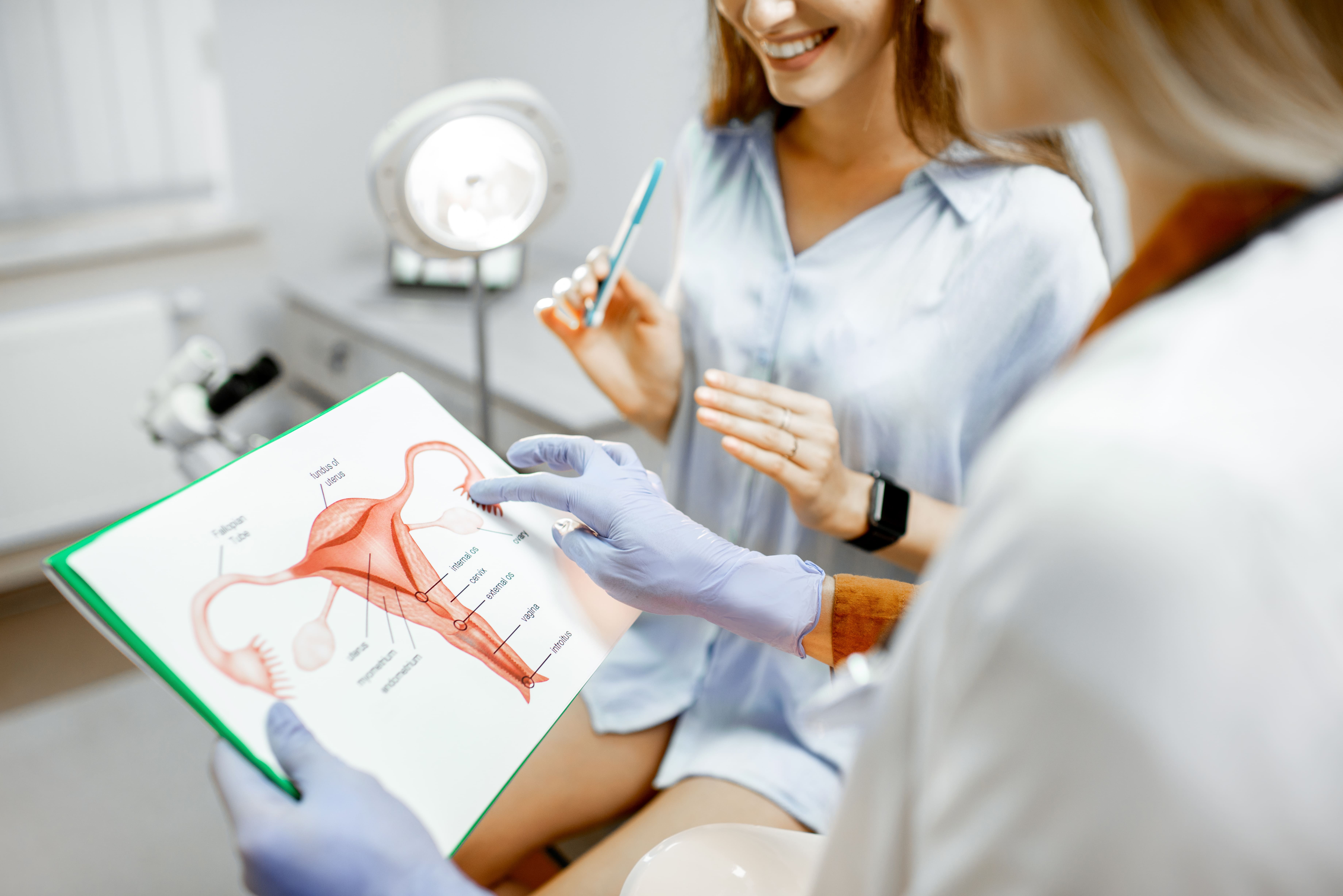 gynecologist-with-female-patient-in-the-office-2025-03-13-04-09-59-utc (1) gynecologist-with-female-patient-in-the-office-2025-03-13-04-09-59-utc (1)